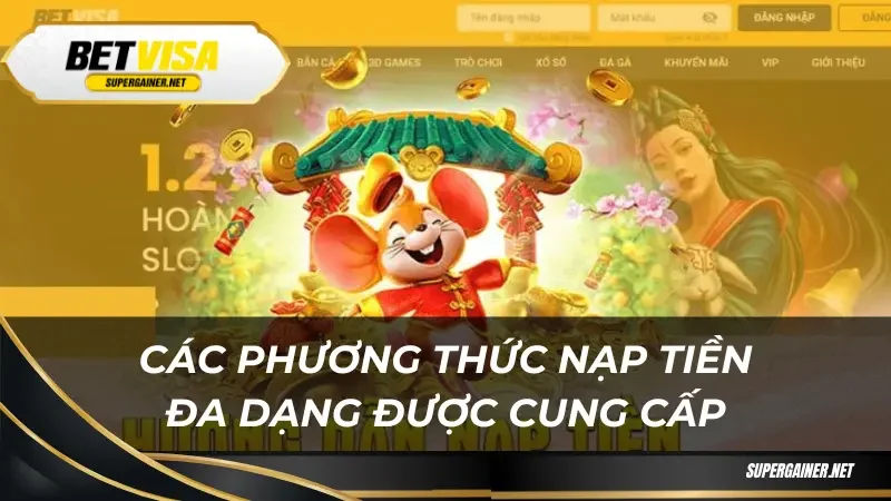 Các phương thức nạp tiền đa dạng được cung cấp